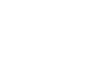 Vuoton Joutsen